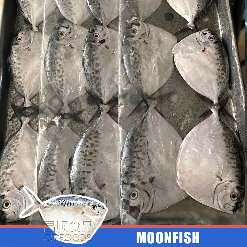moonfish moonfish